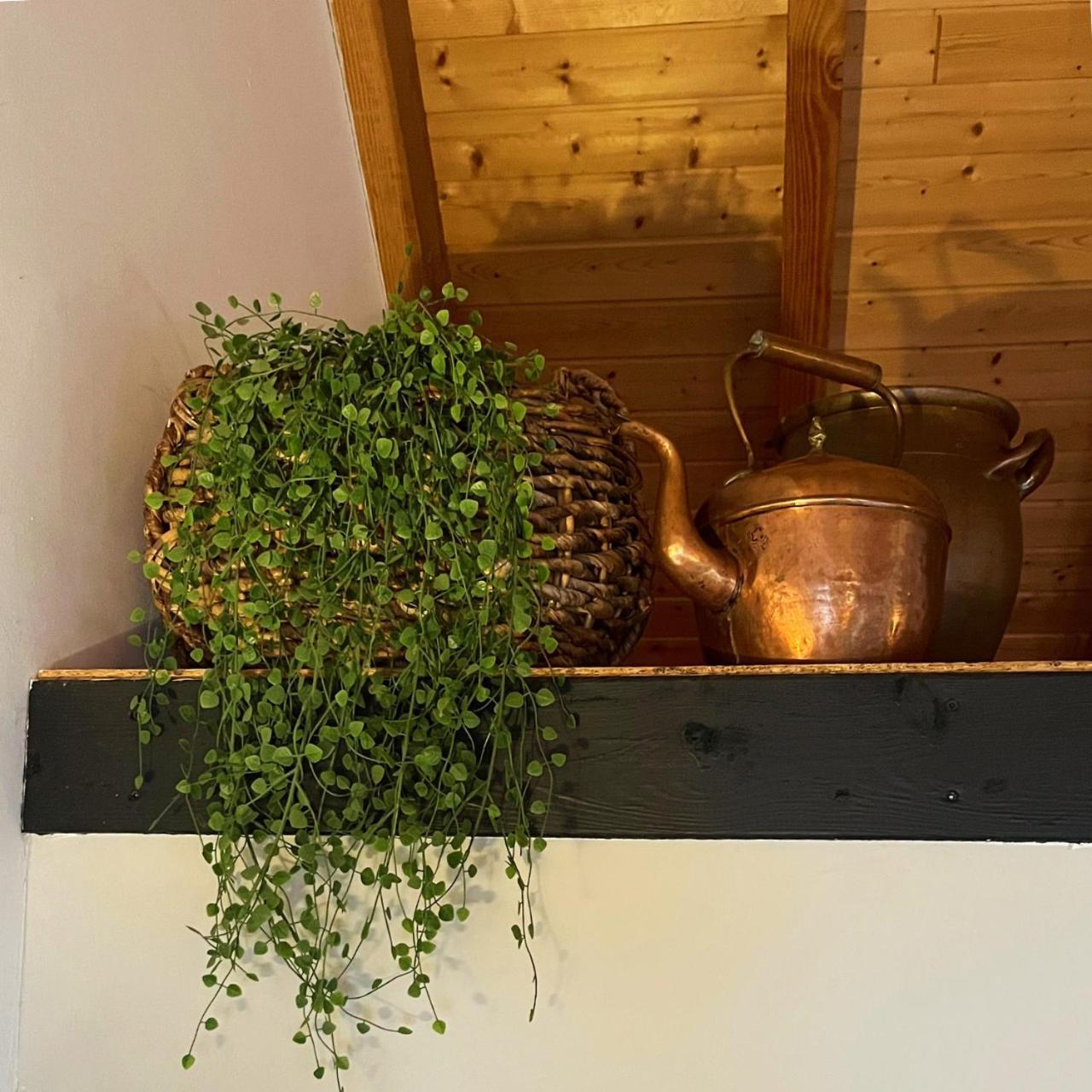 Kamperveen Aan De Hoge Weg B&B 외부 사진