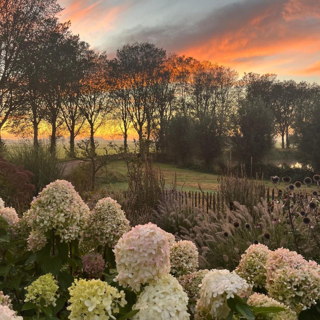 Kamperveen Aan De Hoge Weg B&B 외부 사진